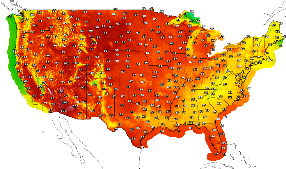 Hourly Temperature