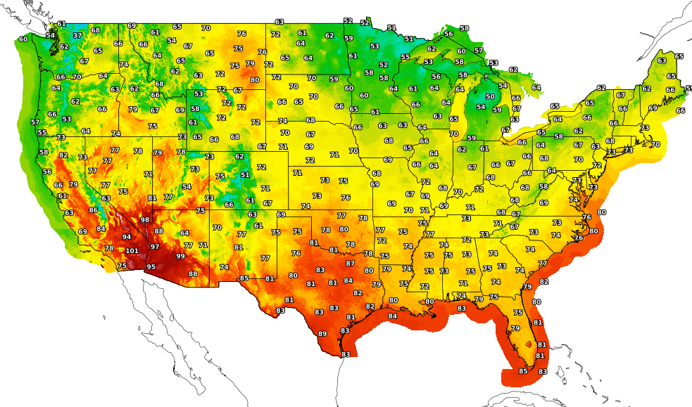 Hourly Temperature